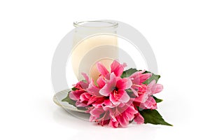 Nourish your skin and hair with hibiscus flowers and curd