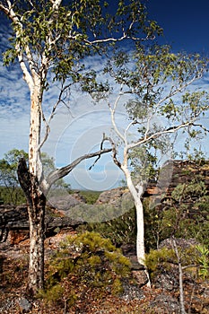 Nourlangie Rock, Kakadu