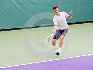Novak Djokovic ATP Tennis Professional from Serbia