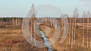 Novaraistis Ornithological Reserve in Lithuania. Wonderful protected place for thousands of birds to breed, live during migration.