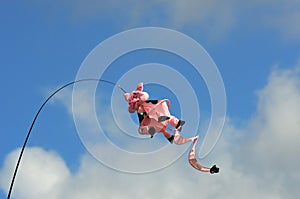 Novelty pig kite flying