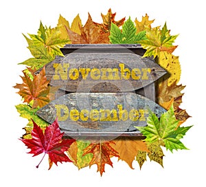 Novembar and Decembar wooden board with colorful leaves isolated photo