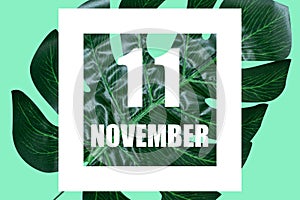 november 11th. Day 11 of month,Date text in white frame against tropical monstera leaf on green background autumn month