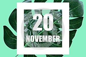november 20th. Day 20 of month,Date text in white frame against tropical monstera leaf on green background autumn month