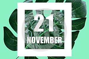 november 21st. Day 20 of month,Date text in white frame against tropical monstera leaf on green background autumn month