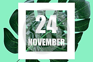 november 24th. Day 24 of month,Date text in white frame against tropical monstera leaf on green background autumn month