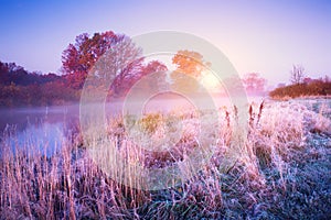 November landscape. Autumn morning with colorful trees and hoarfrost on the ground.