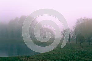 November morning landscape. Autumn foggy park with a lake.