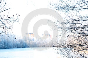 November morning landscape with frozen lake covered with ice. Gentle lighting of the rising sun, bare trees in forest.