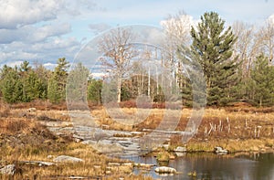 November sky over forest and  bog