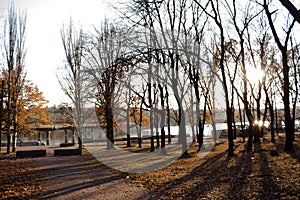 November. Almost winter here