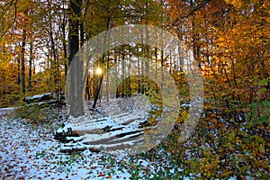 Novemer snow atmosphere