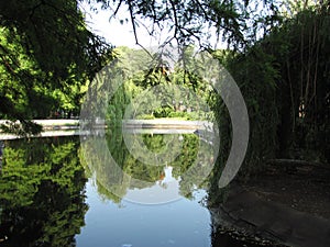 Novi Sad - Danube Park