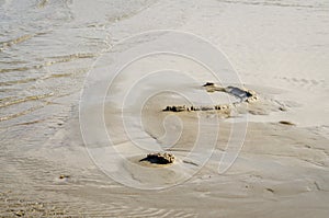 Novi Sad, Serbia - September 29. 2019: Sandy beach on the Danube River