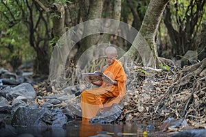 Novice monk learning