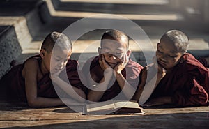 Novice monk reading book