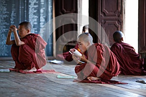 Novice Monks in the Shwe Yan Pyay Monastery, Myanmar