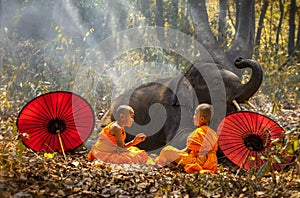 Novices or monks spread red umbrellas and elephants. Two novices sit and talk, and a large elephant with forest background, Tha
