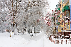 Novosibirsk. Academgorodok.