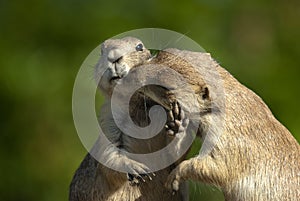 Now that's enough of that!