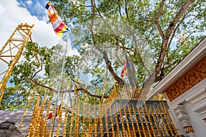 Jaya Sri Maha Bodhi the oldest living human-planted tree in the world in Anuradhapura, Sri Lanka.