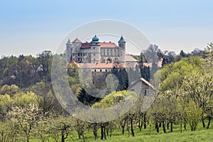 Nowy Wisnicz castle near Cracow in Poland