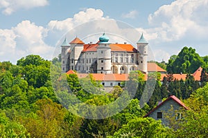 Nowy Wisnicz castle, Poland