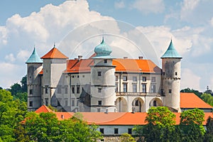 Nowy Wisnicz castle, Poland