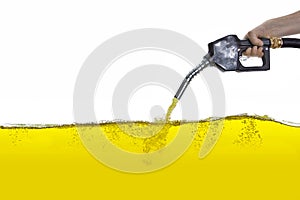 Nozzle pumping gasoline in a tank