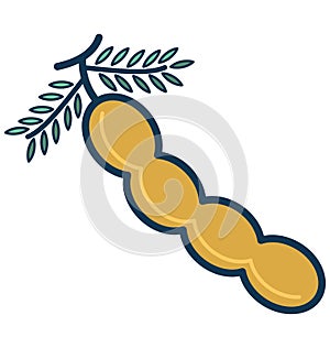 Peanut Line Vector Isolated Icon customized and editable