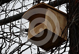 Nstallation and inspection of birdhouses on trees for spring nesting. A man in an overall fitter takes an ornithologist up a ladde