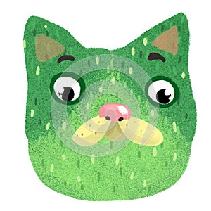 funny face of a green cat