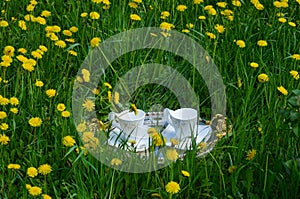 Romantic tea in nature among yellow dandelions photo