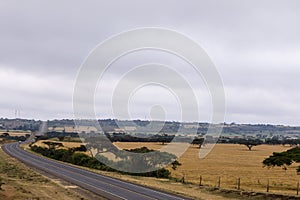 Ntulele Highway Narok County Engulfed with Wheat Farm Plantations