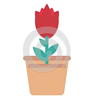 Tulip Bud, Tulip Color Isolated Vector Icon
