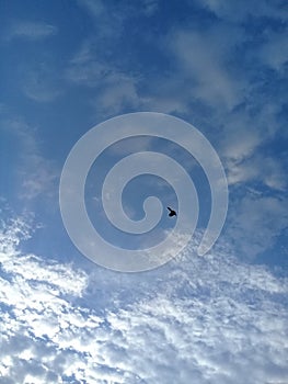 Nubes en el cielo. Clouds in the sky. photo