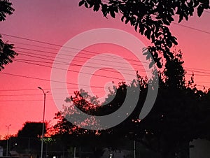 nubes rosas y rojas photo