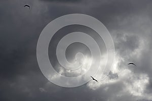 Nubes tormentosas cielo