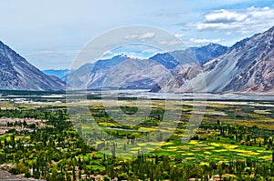 Nubra Valley-6/2011