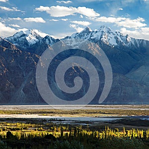 Nubra valley - Indian himalayas - Ladakh - India