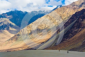 Nubra Valley and its contrasts, Ladakh, Himalayas, India