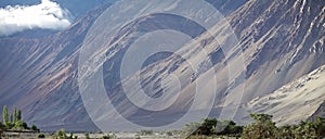 Nubra valley, Ladakh, India