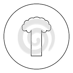 Nuclear explosion burst mushroom explosive destruction icon in circle round black color vector illustration image outline contour