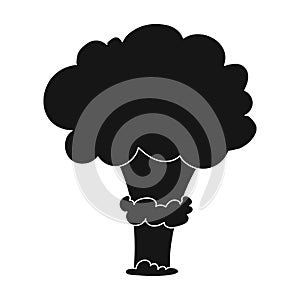 Nuclear explosion icon in black style isolated on white background. Explosions symbol