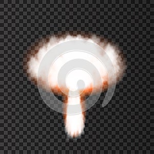 Nuclear explosion isolated on transparent background