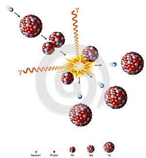 Nuclear Fission Of Uranium