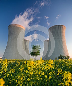 Nuclear power plant