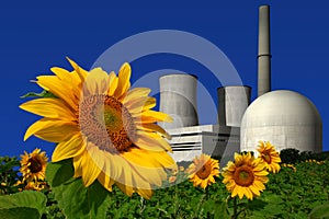 Nuclear power plant behind a sunflower field