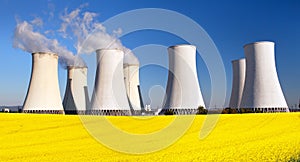 Nuclear power plant, cooling tower, field of rapeseed