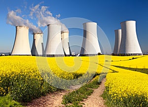 Nuclear power plant, cooling tower, field of rapeseed